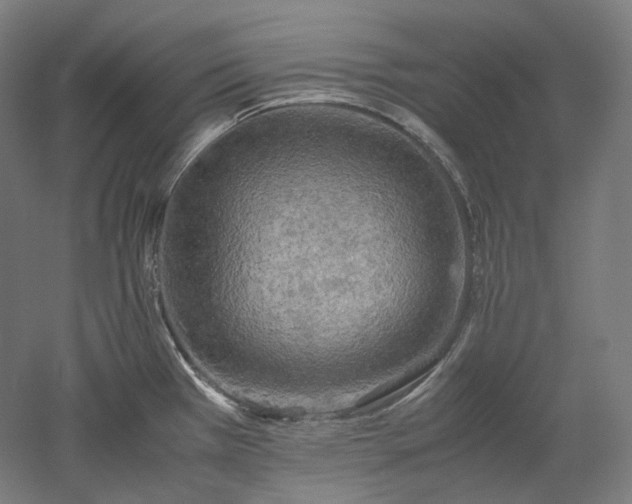 X0000052921385200507151539