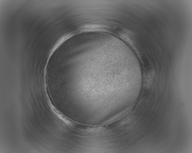 X0000052921386200507151539