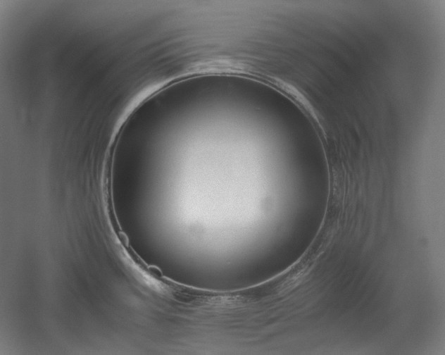 X0000052921387200507151539