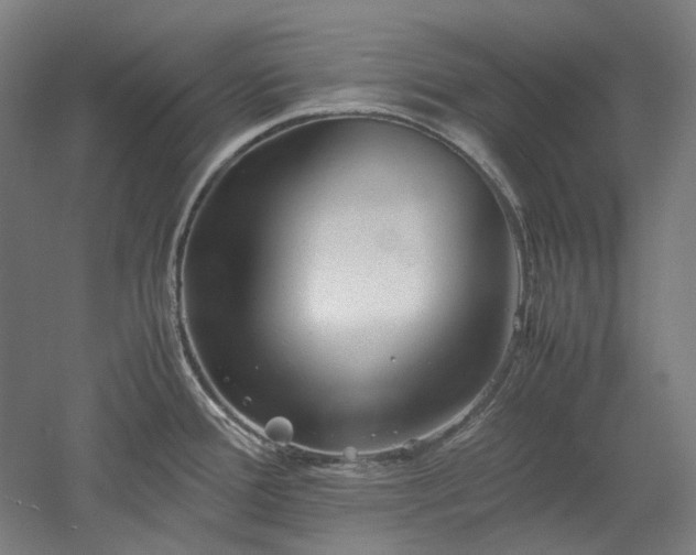 X0000052921388200507151539