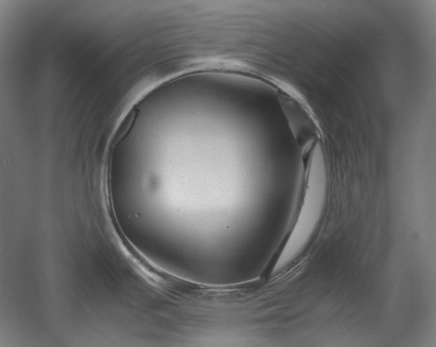 X0000052921391200507151539