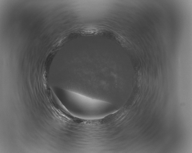 X0000052921394200507151538