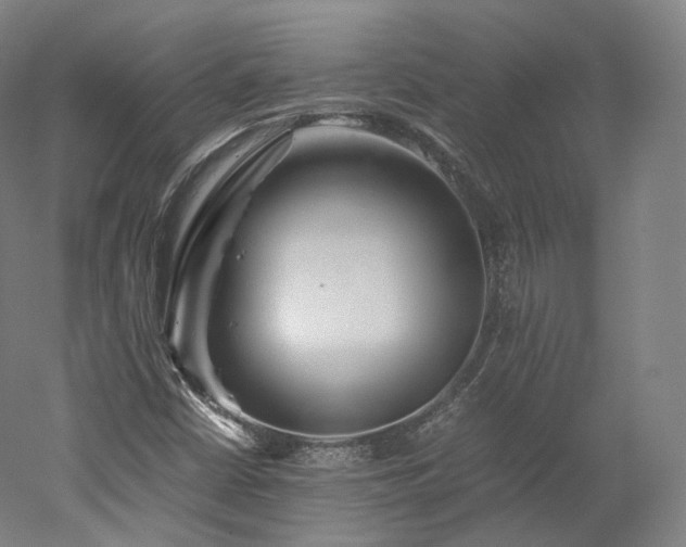 X0000052921402200507151538
