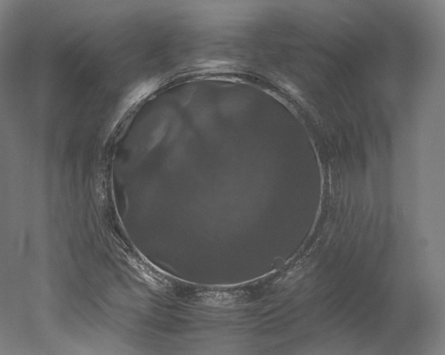 X0000052921405200507151538