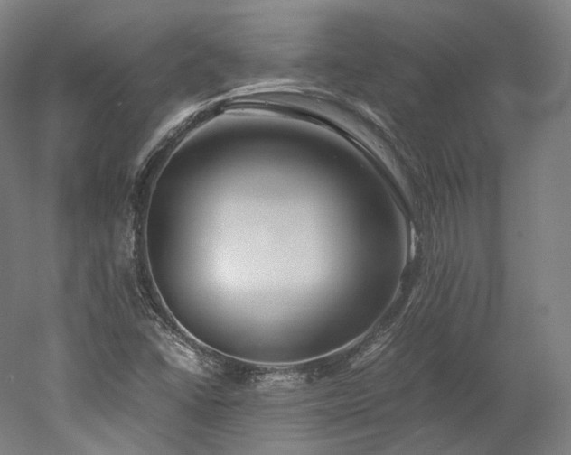 X0000052921406200507151538