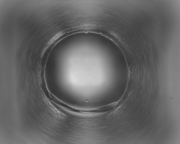 X0000052921410200507151538