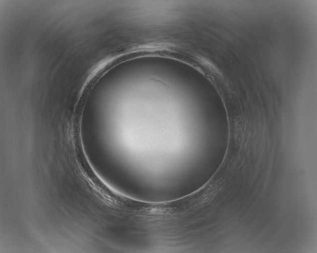X0000052921412200507151538