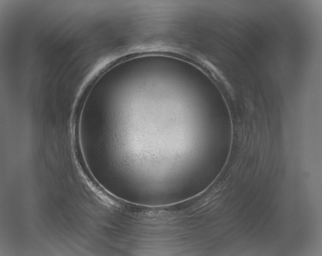 X0000052921416200507151538