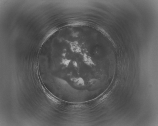 X0000052921425200507151539