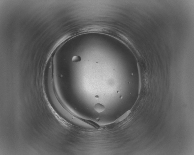 X0000052921426200507151539