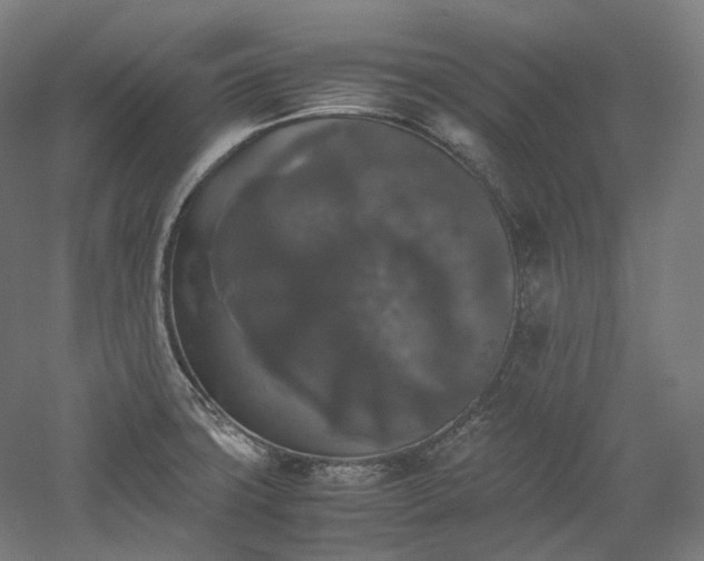 X0000052921427200507151539