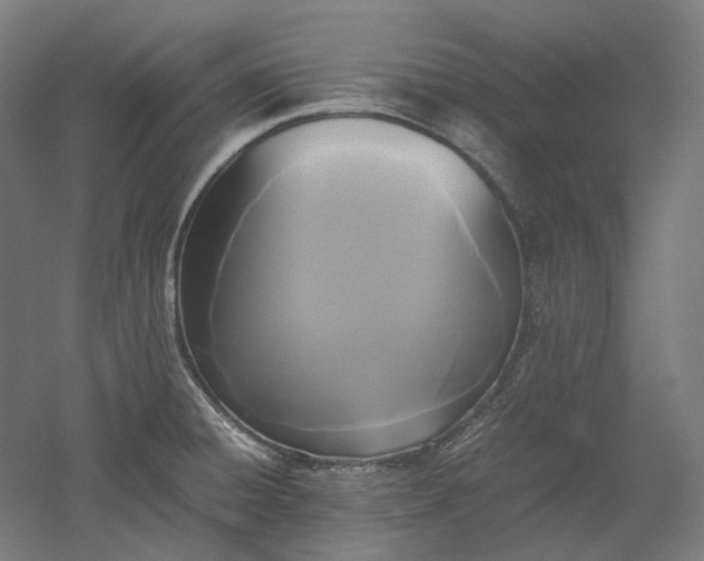 X0000052921428200507151539