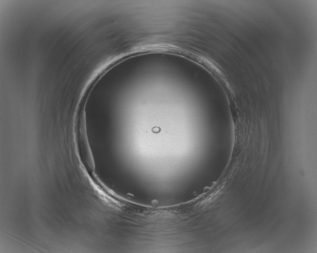 X0000052921430200507151539
