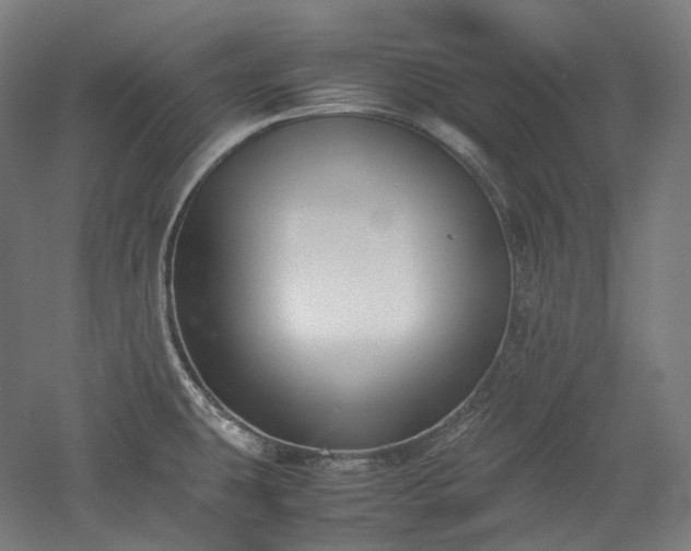 X0000052921431200507151539