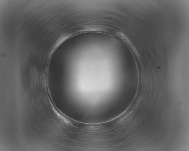 X0000052921433200507151539