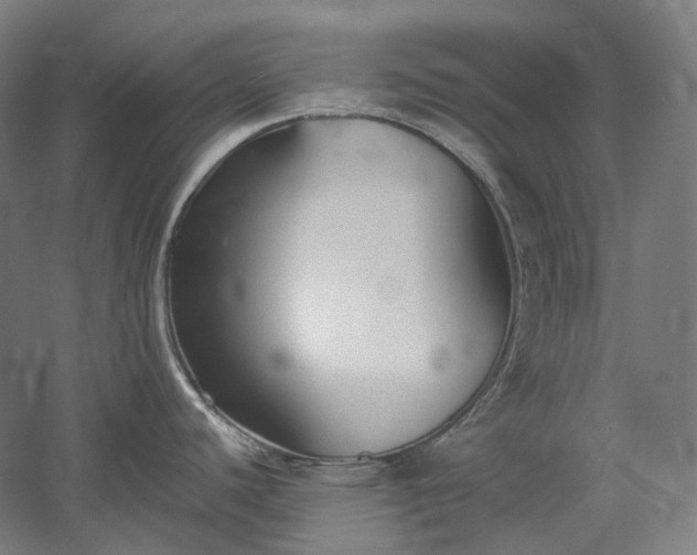 X0000052921440200507151539