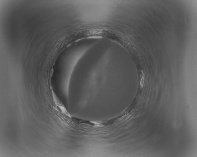 X0000052921441200507151538