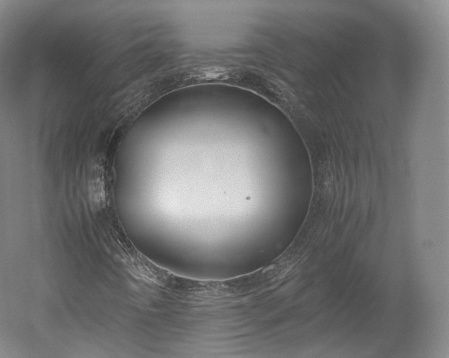X0000052921442200507151538