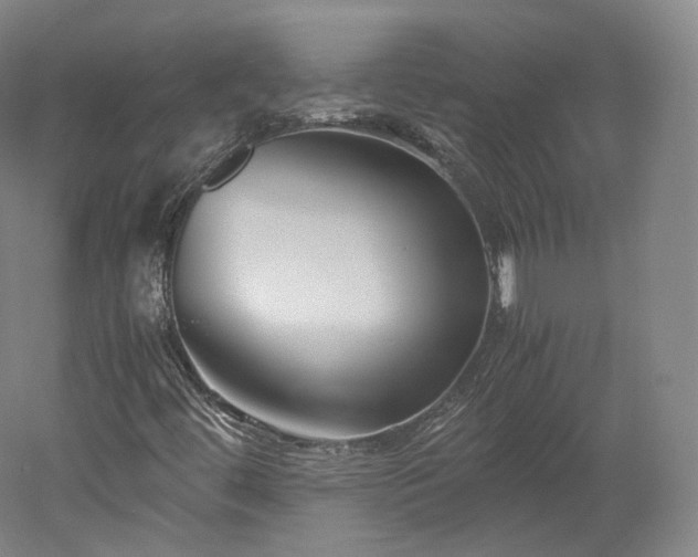 X0000052921444200507151538