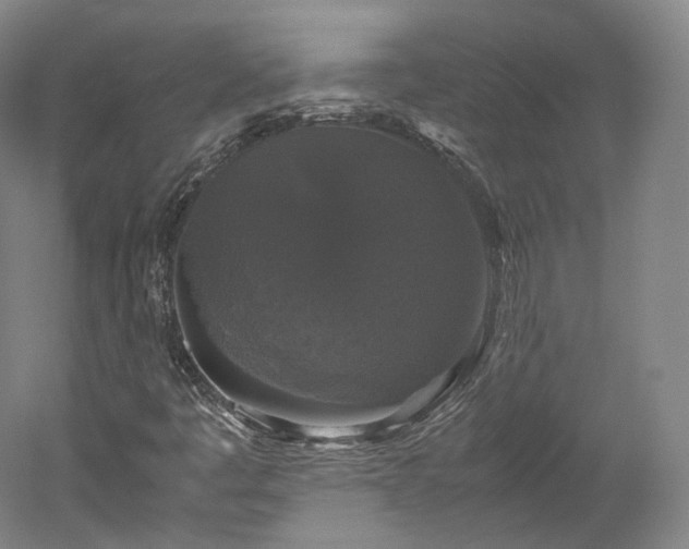 X0000052921445200507151538
