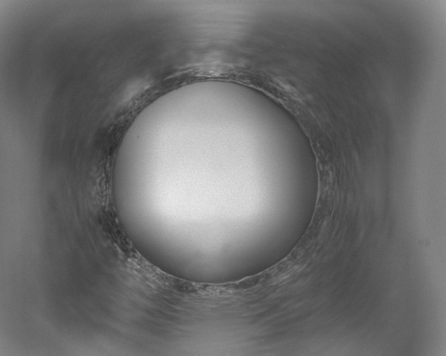 X0000052921446200507151538