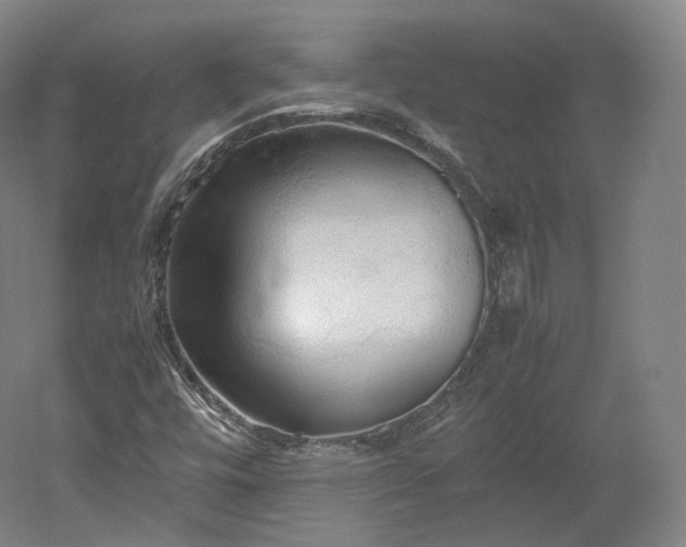 X0000052921448200507151538