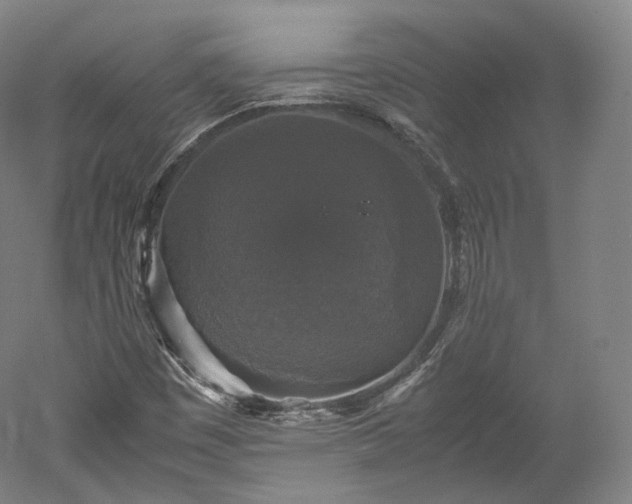 X0000052921449200507151538