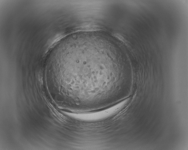 X0000052921451200507151538