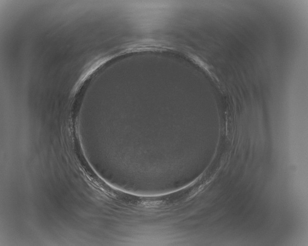 X0000052921453200507151538