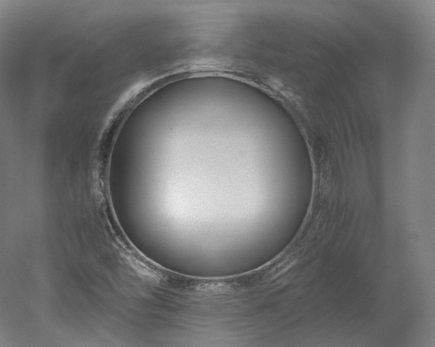 X0000052921454200507151538