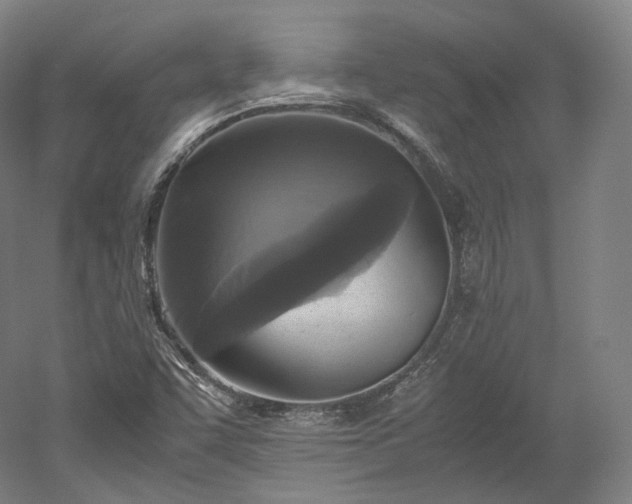 X0000052921455200507151538