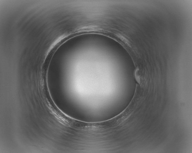 X0000052921458200507151538