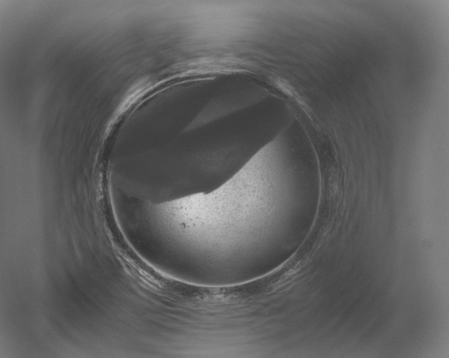 X0000052921459200507151538