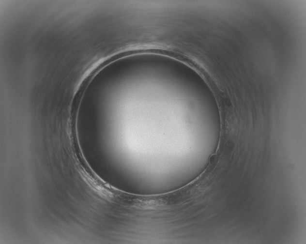 X0000052921460200507151538