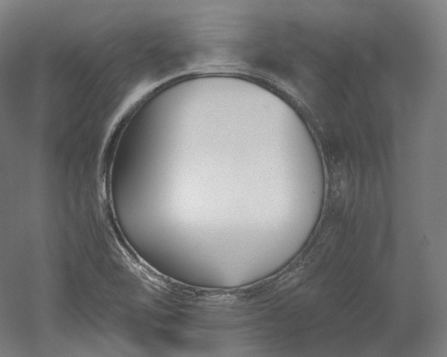 X0000052921462200507151538