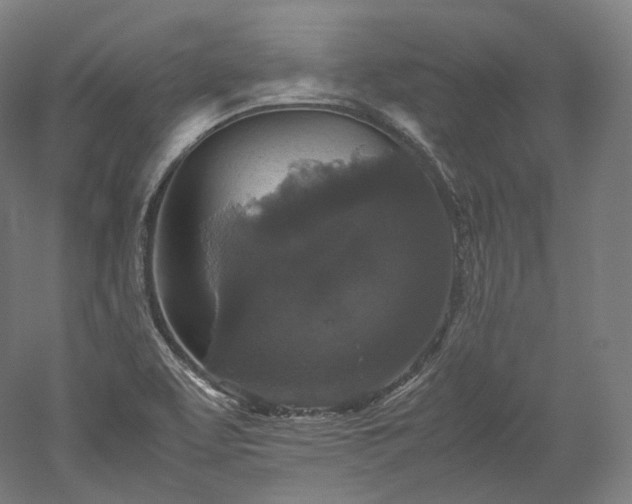 X0000052921463200507151538