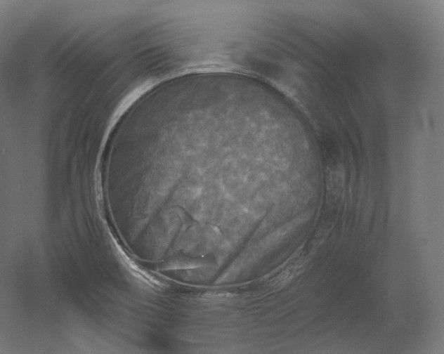 X0000052921466200507151538