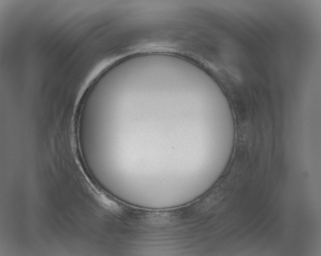 X0000052921470200507151538