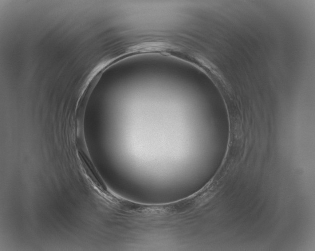X0000052921473200507151537