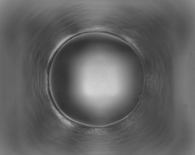 X0000052921476200507151537