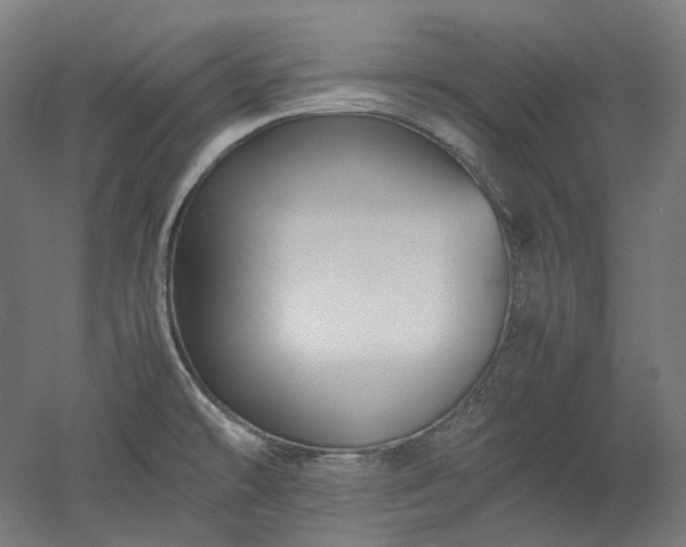 X0000052921478200507151537