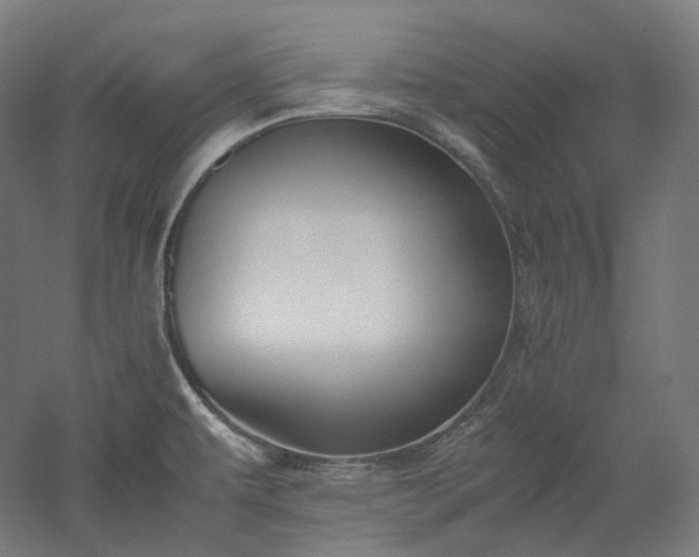 X0000052921479200507151537