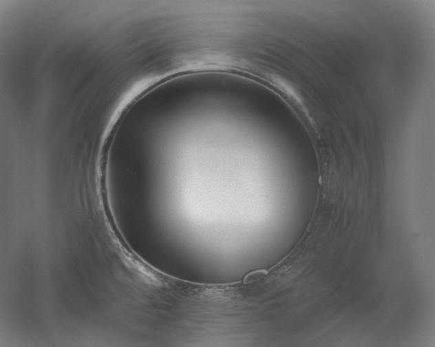 X0000052921480200507151537