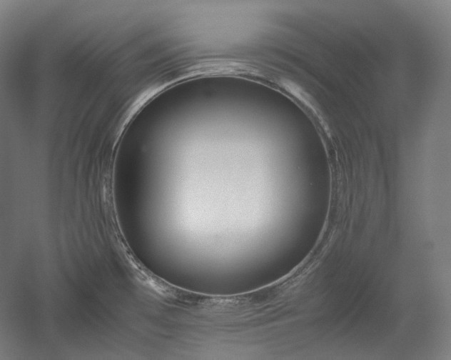X0000052921481200507151537