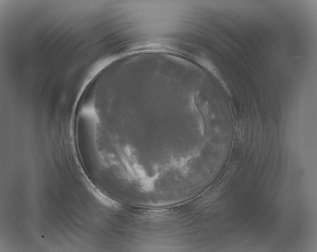X0000052921482200507151537