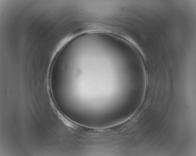 X0000052921485200507151537