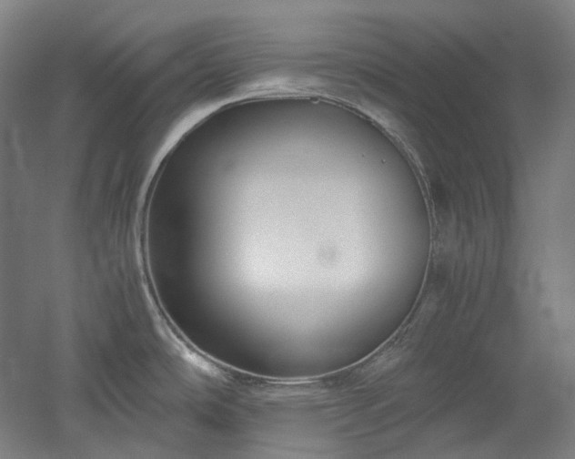 X0000052921486200507151537