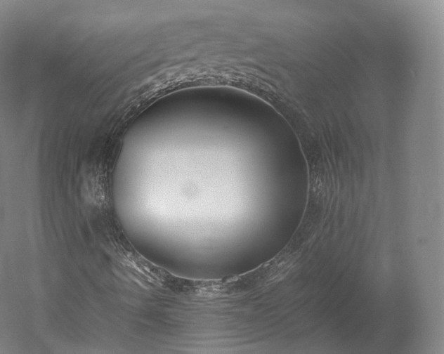 X0000052921490200507151536