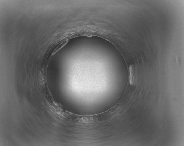 X0000052921491200507151536