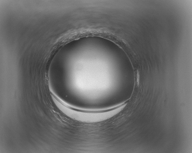 X0000052921492200507151536